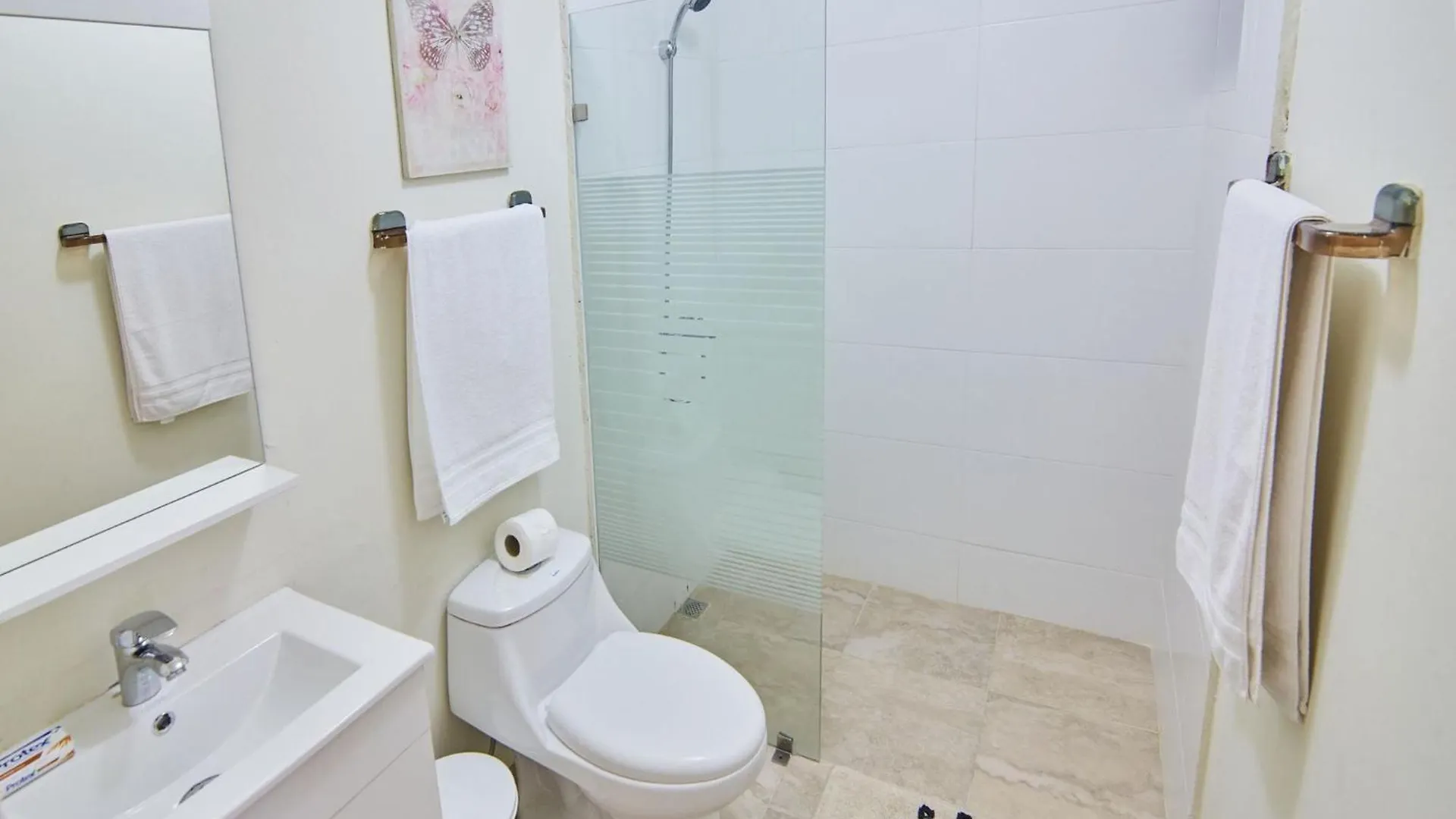 Modern Santo Domingo Condo In Heart Of Gazcue